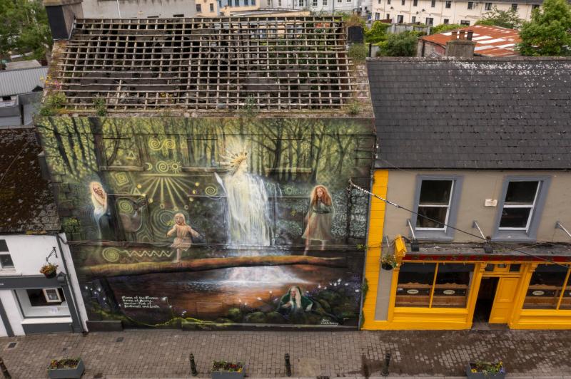 &euro;2 million approved to fight dereliction in Portlaoise