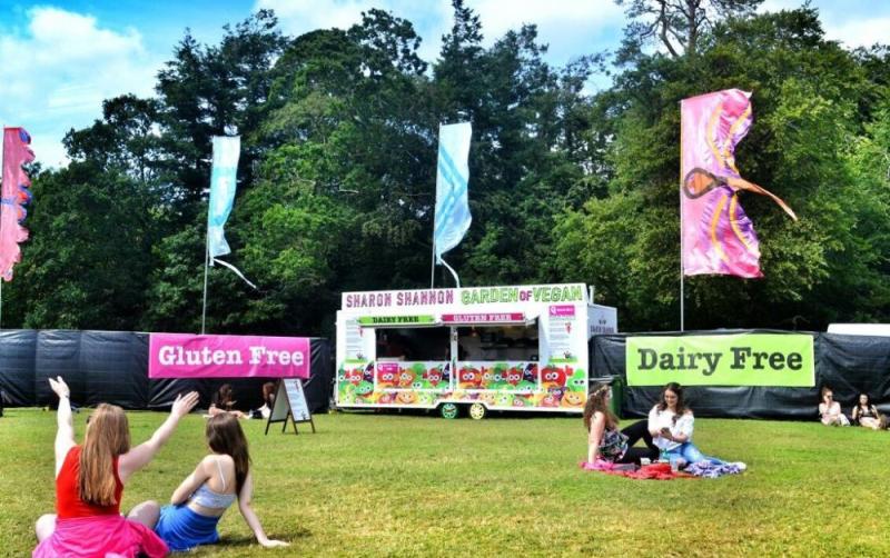 Laois music festival extends early bird ticket sales period