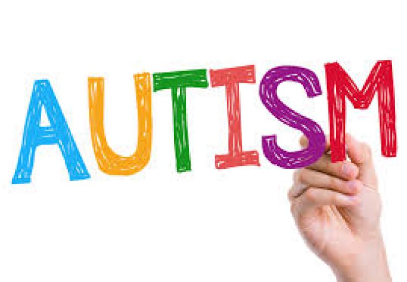 Portlaoise should be Autism Friendly Town says councillor