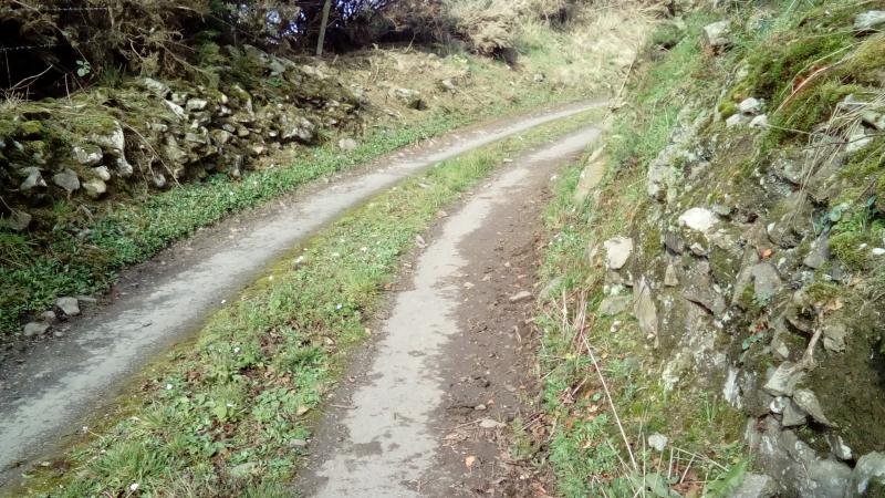 Laois communities getting small slice of €12 million to resurface laneways