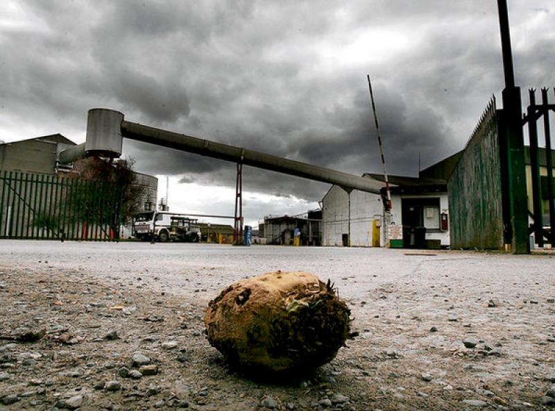 Greencore-carlow-1 sugar factory