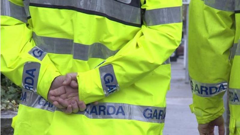 Laois Garda&iacute; call for witnesses as house window smashed