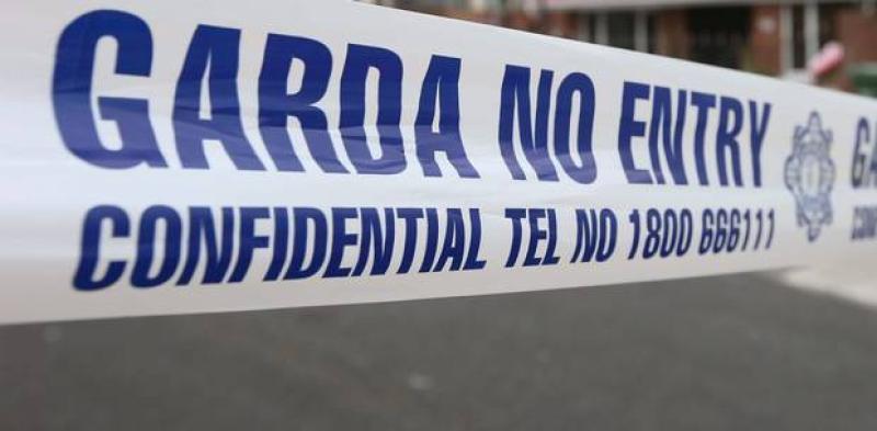 Huge drugs seizure in Kildare, man arrested
