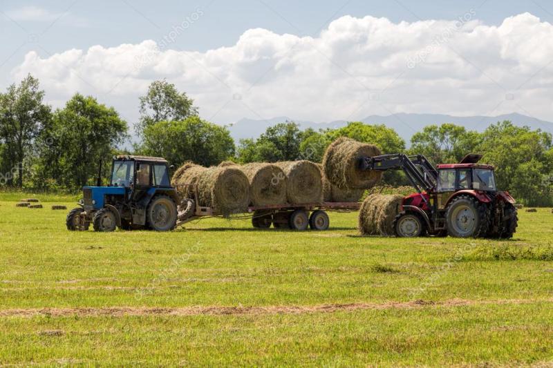 Fallen straw on road blamed for Laois Tidy Town losing points