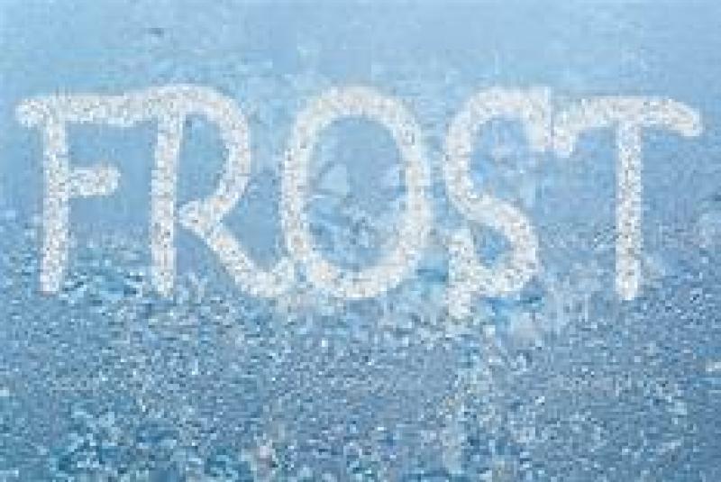 WEATHER: Laois set for frost tonight as temperatures plunge - Laois Live