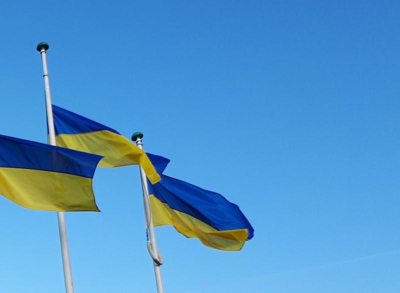 UPDATE:  The reason why Ukraine families in Laois were moved on