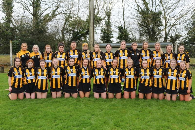 Heartbreak in Leinster again for Camross camogie as Barrow Rangers triumph in extra-time battle