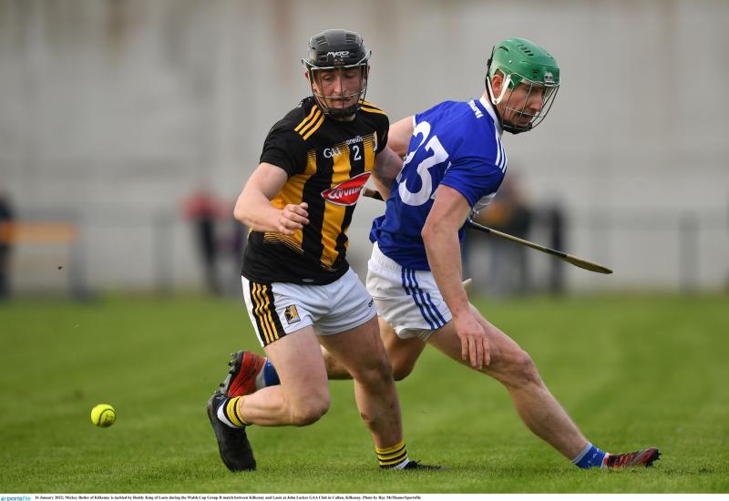 Wasteful Laois rue missed chances as Kilkenny pull away in second half