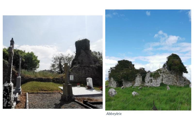 Laois council to help conserve 'very important' historic churches