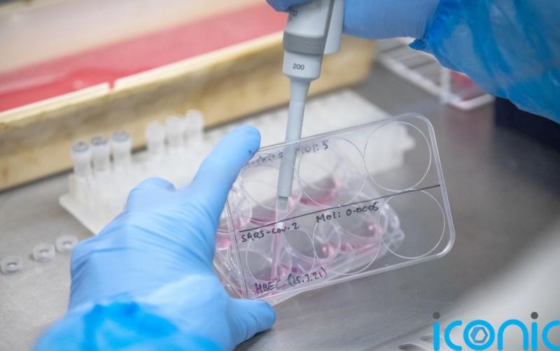 Covid-19 deaths in the US reaches 900,000