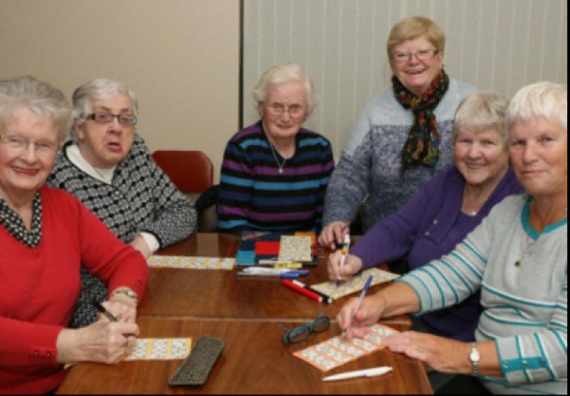 Winner annnounced in Age Friendly category of Laois Community & Voluntary Awards