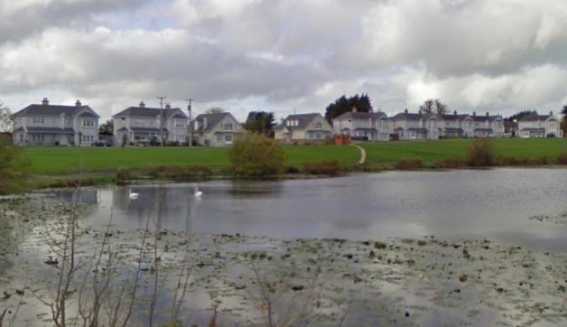 Fence needed between Laois fishing lake and children's play area