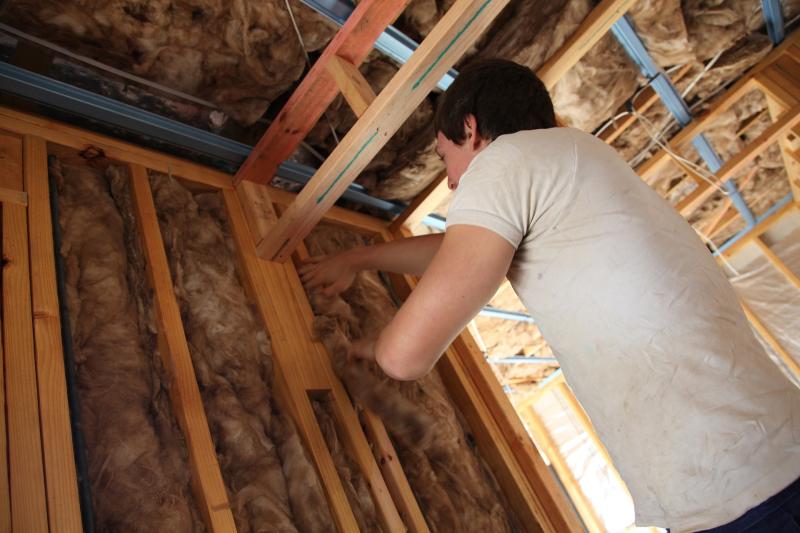 Laois Offaly homes will be insulated from cold and rising fuel prices claims Green Minister