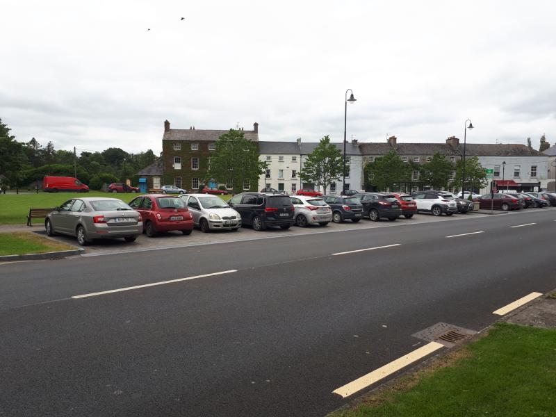 Surveys unnecessary for solution to 'absolute disaster' in Laois town
