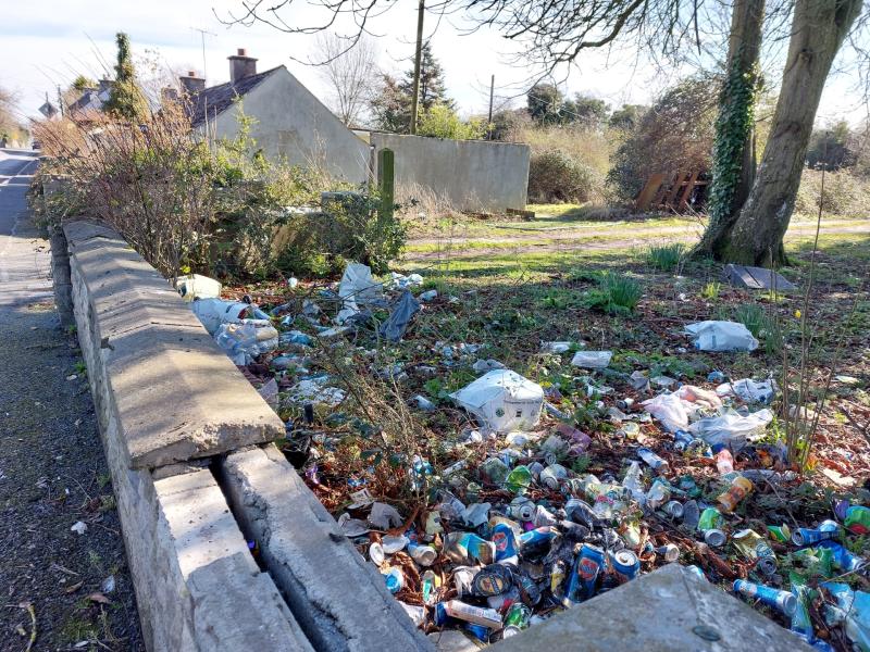 Dumping and anti-social activity at derelict house 'terrifying' Portlaoise neighbours