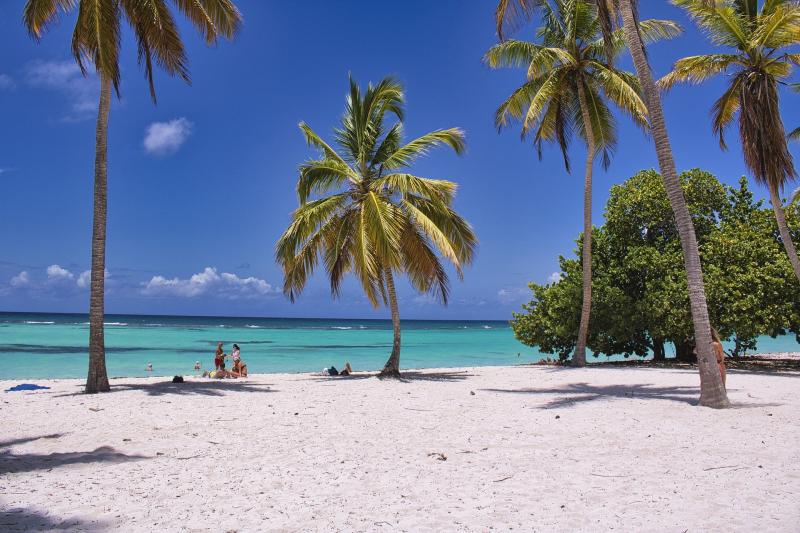 Laois's first Beach Resort goes to tender