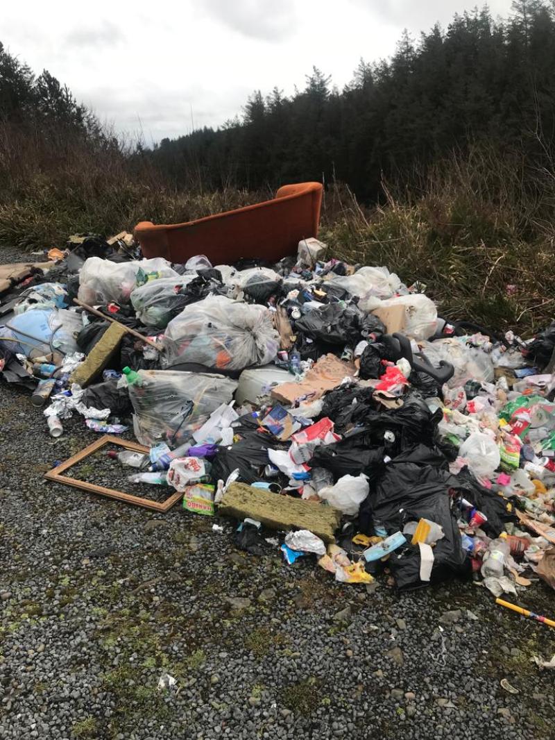 Shocking widespread dumping in Laois Slieve Blooms - CCTV demanded 
