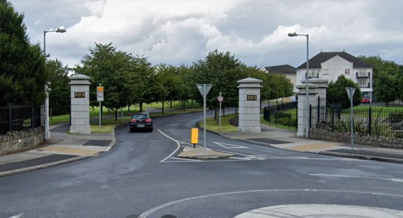 Laois estate 'nearly pitch black' from new streetlights and growing trees