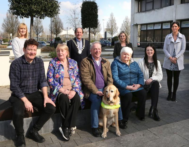  Tell stories through sound - Laois ‘Sightless Cinema’ a big hit
