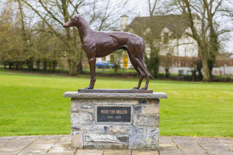 Laois council pays tributes to deceased greyhound breeder