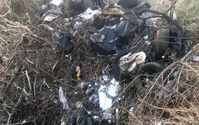 Laois illegal dumping branded 'sickening'