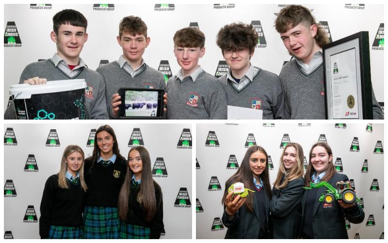 Three Laois schools rearing beef calves hoping for prizes