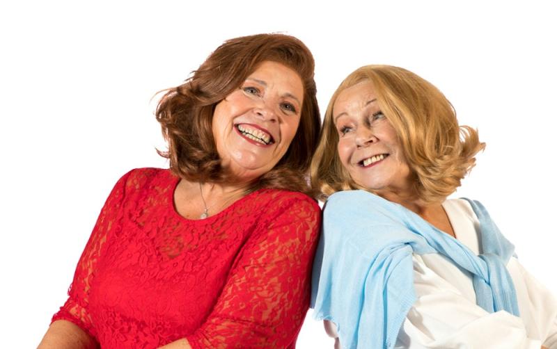 Smash hit comedy 'Waiting for Gateaux' is coming to Laois