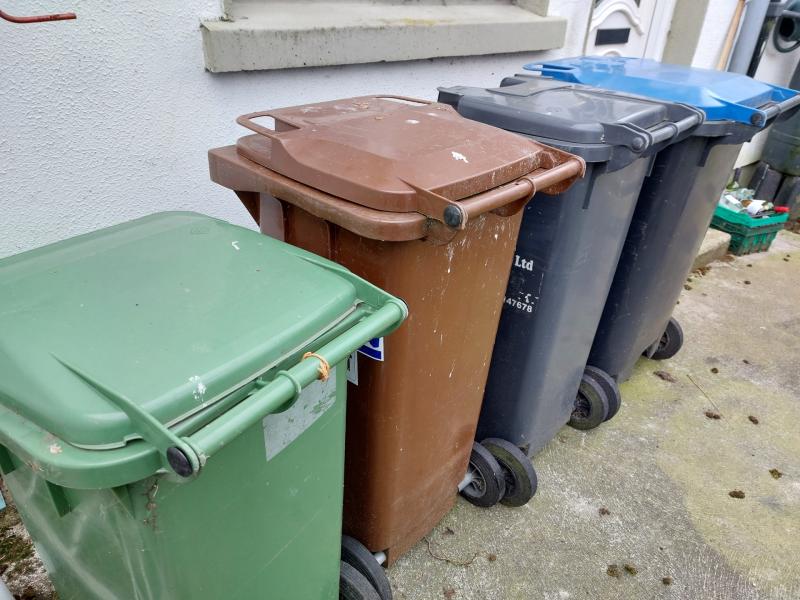 Call for return of Laois council bin collections to curb dumping