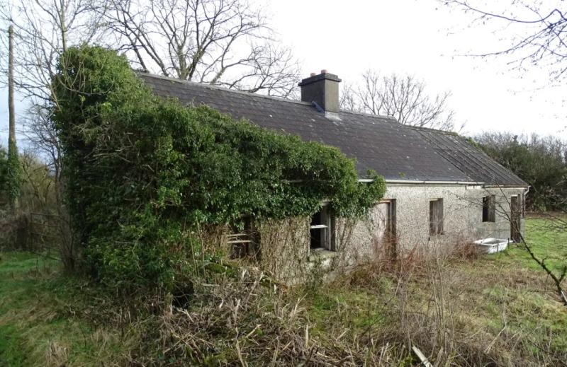 Derelict Laois cottage for €125,000 described as 'builders dream' 