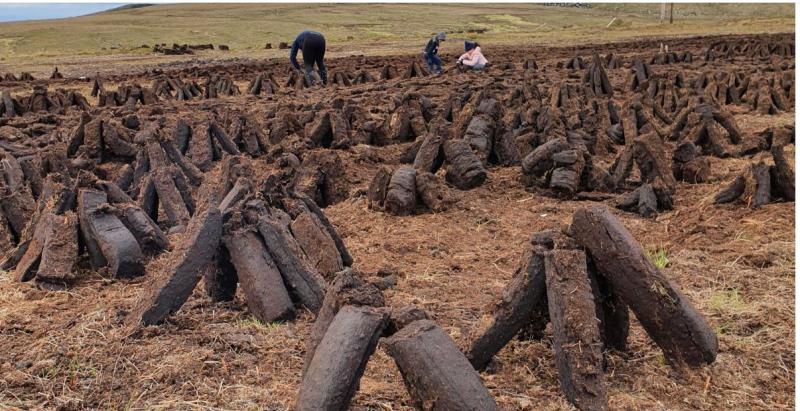 POLL: Should there be a ban on the sale of turf?