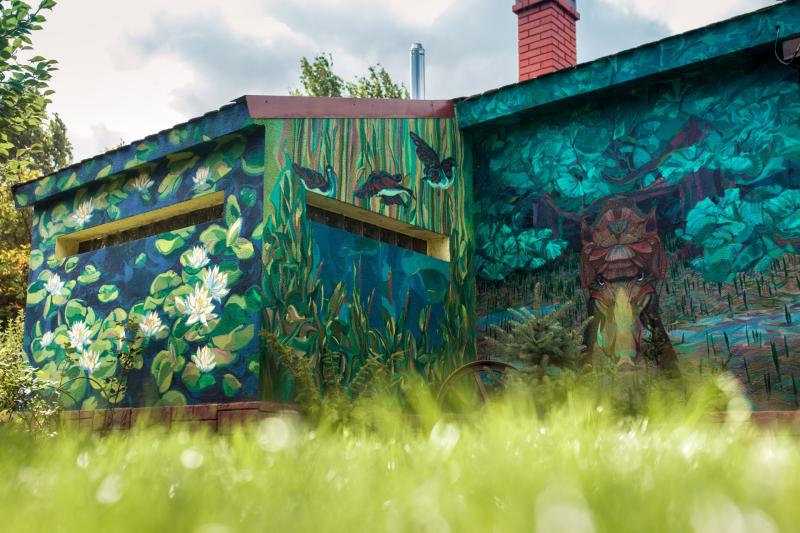 Amazing Ukraine artist begins huge mural for Laois Tidy Towns group