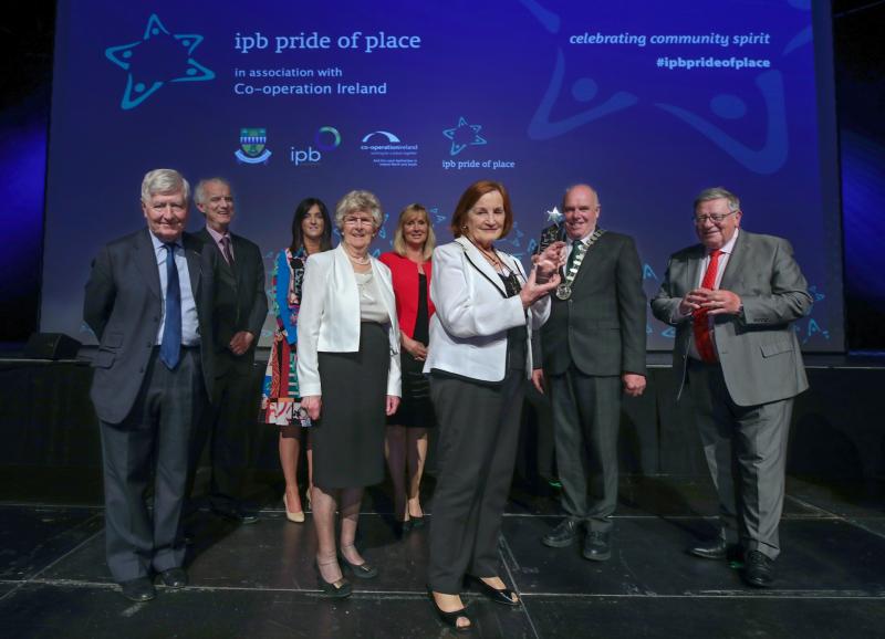 'Stunning and spotless' Laois town  wins another big award