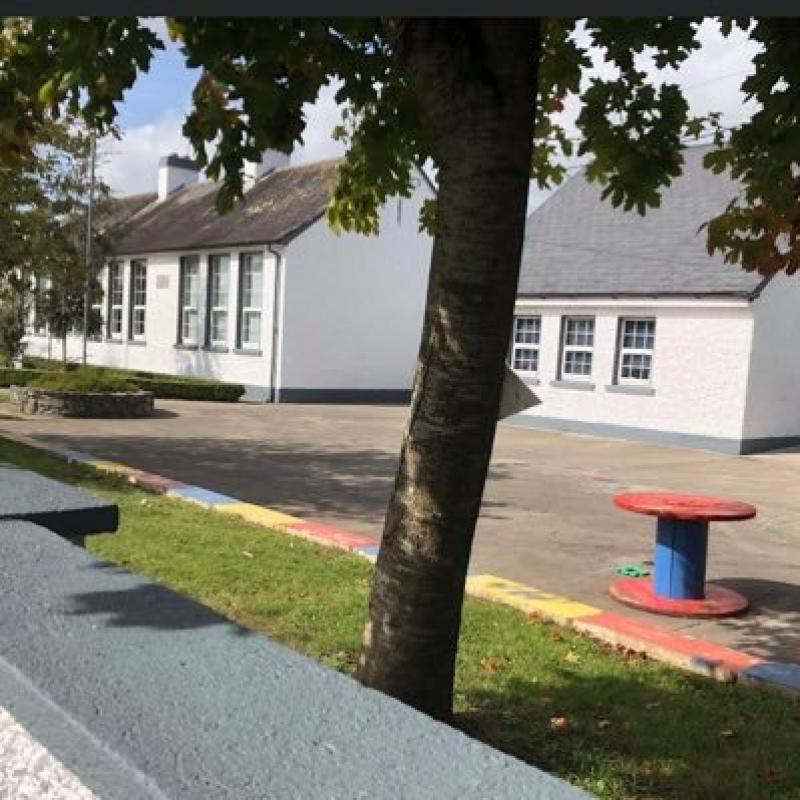 Delighted with work at Laois school