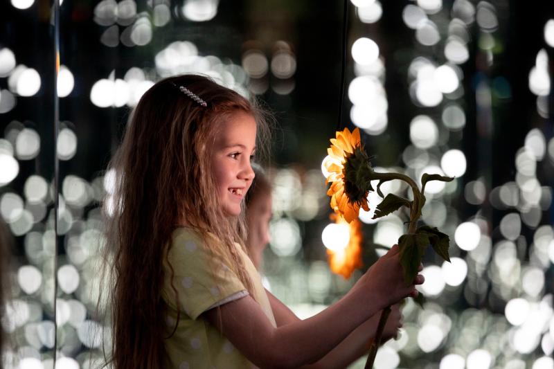Laois Hospice seeking support for Sunflower Day