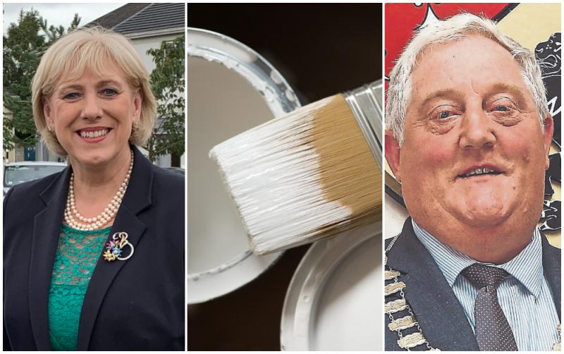 Laois councillor asks Government Minister when she would paint her house 