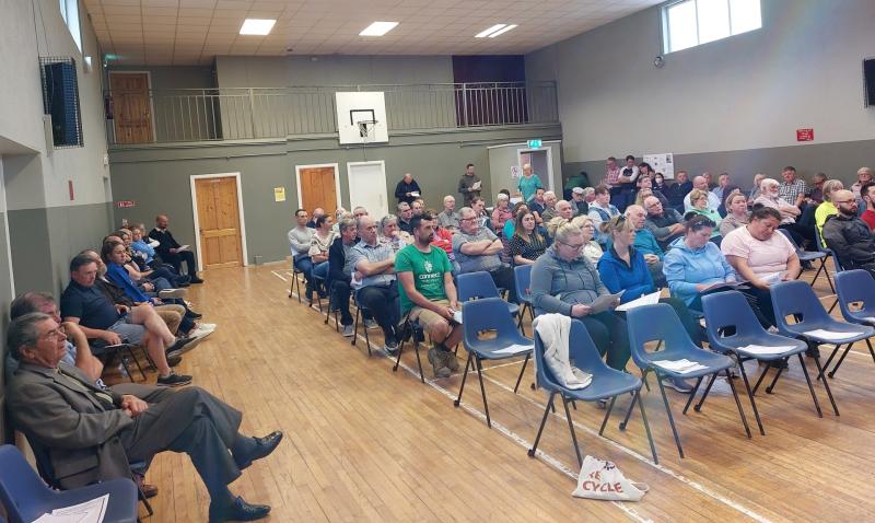 Growing Laois village unites to plan future and seek cash aid