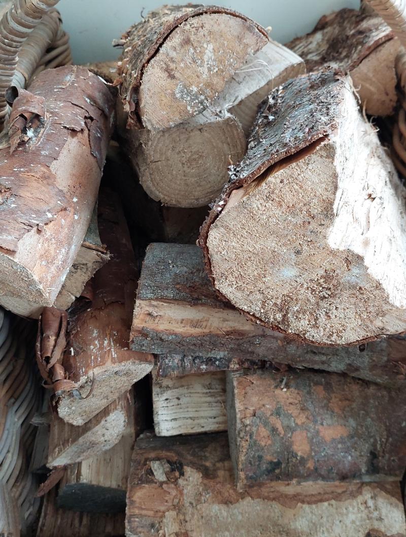 Laois Councillor calls on Coillte to provide cheap fire logs 