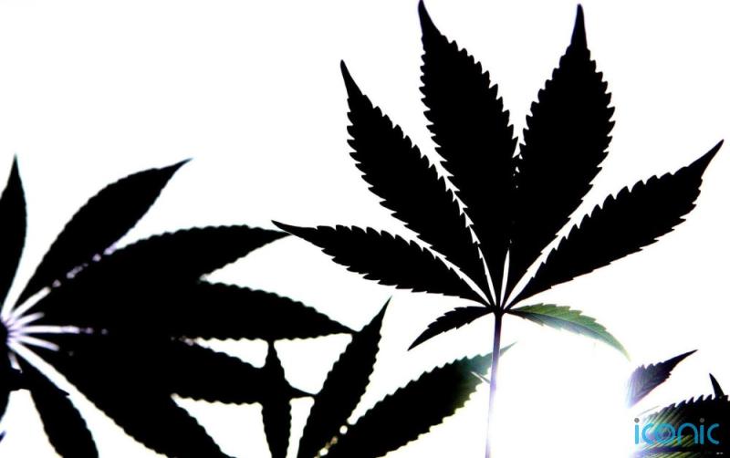 New research suggests teenagers are more vulnerable to cannabis addiction than adults