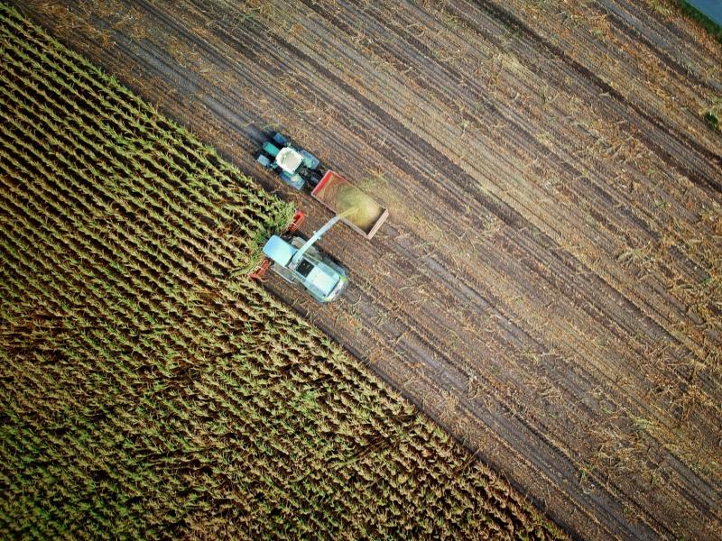 Basic Payment Scheme Refund of more than €20m announced for over 100,000 farmers across Ireland 