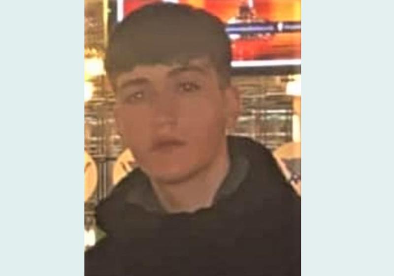Laois Offaly garda&iacute; see more help in tracing missing teen