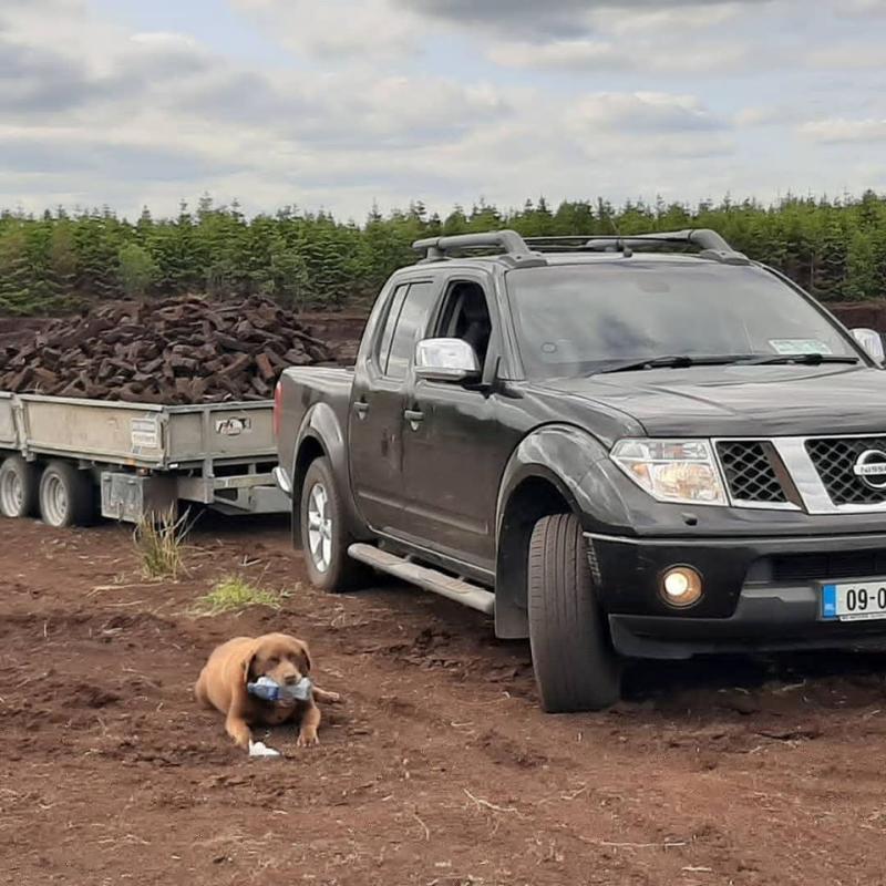 EXPLAINER: New rules on turf, coal, timber and other solid fuels