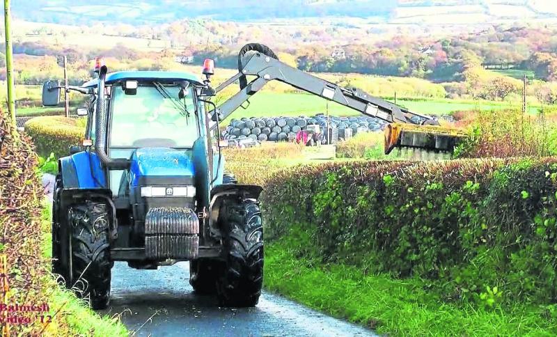 'Growth bursting' in Laois hedgerows as councillors urge more cutting