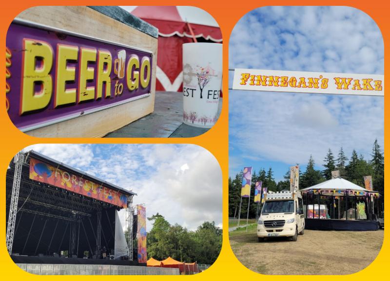 IN PICTURES: Forest Fest set to ignite in Laois - site preview