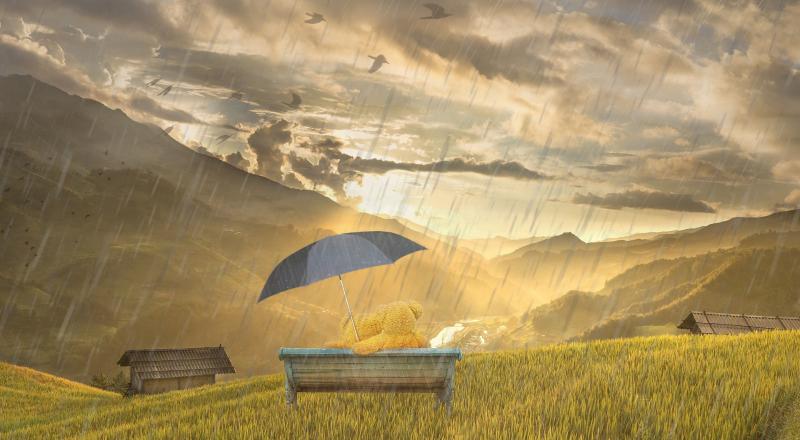 Bank Holiday Weather: Met Éireann forecasting something 'persistent' and 'above average'