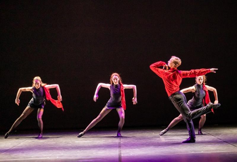 Opera and Rolling Stones ballet coming to Electric Picnic