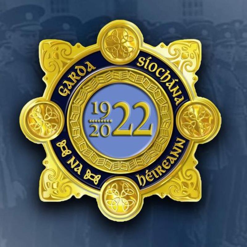 Laois Offaly Gardai issue advice on bogus callers
