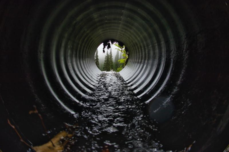 Waterford public warned of risk of Weil’s Disease following  heavy rainfall