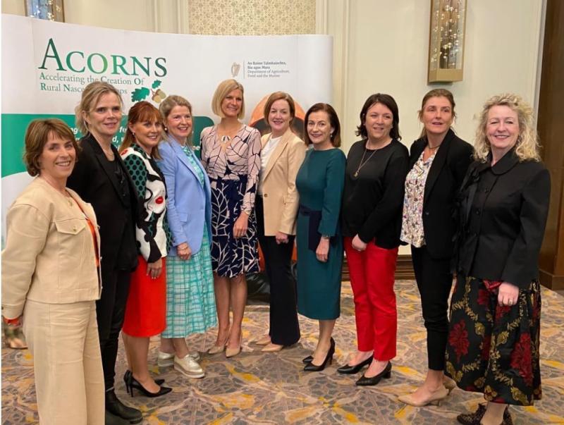 Female entrepreneurs in Laois encouraged to apply for support 