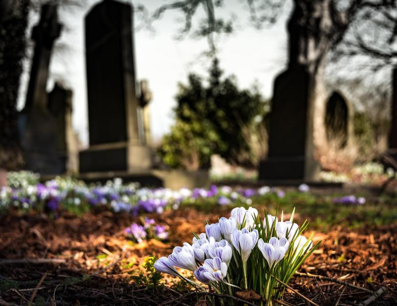 A thank you from a Tipperary village as headstones and statues restored at local church