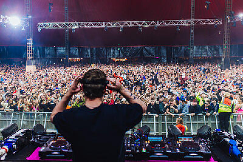 Forage for fun Freetown at Electric Picnic in Laois